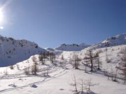 081124_A_siamo in 48.JPG